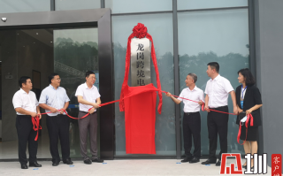 龙岗跨境电商运营中心正式运营 深圳跨境电商产业实现东西齐飞