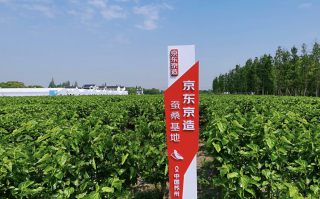苏州震泽镇、京东京造、太湖雪达成战略合作 打造蚕丝被一体化产业链