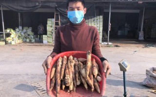 临安春笋滞销，杭州90后小伙捋起袖子当笋农，最多一天卖三五千斤