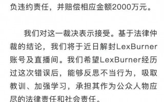 UP主LexBurner赔了B站2000万，复出了