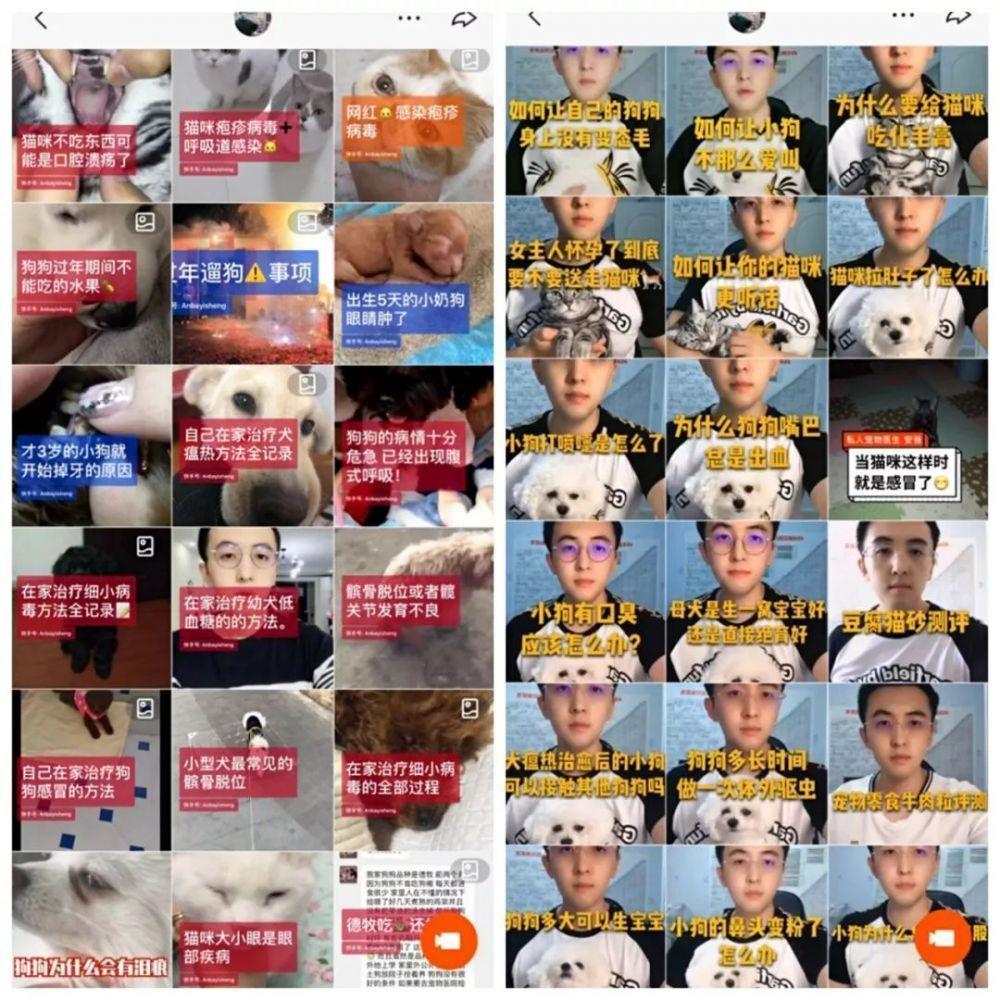 从月薪1500到年入180万，28岁宠物医生如何靠<a href='https://www.zhouxiaohui.cn/duanshipin/
' target='_blank'>私域流量</a>逆袭？-第4张图片-周小辉博客