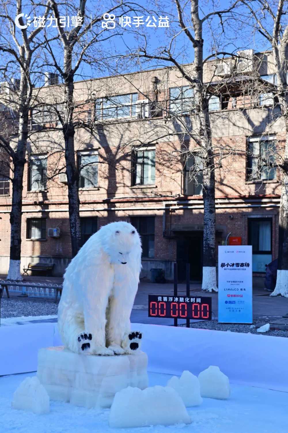 昨天，13894488位老铁在快手围观一头北极熊-第4张图片-周小辉博客