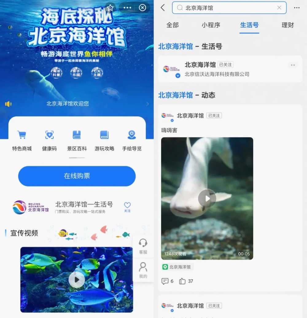 单条视频460万播放，北京海洋馆为什么要做支付宝生活号？-第5张图片-周小辉博客
